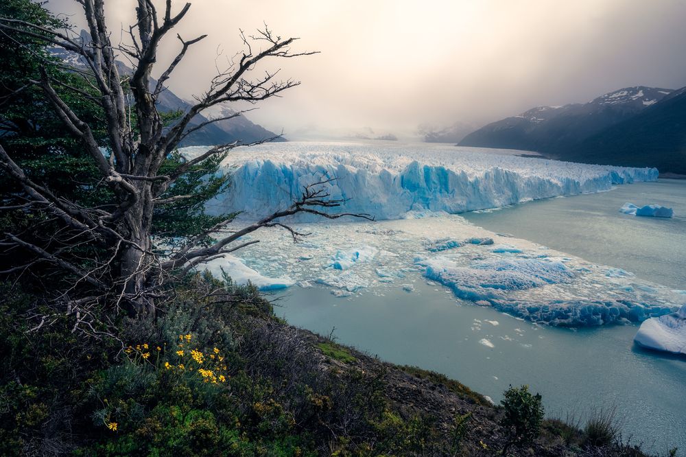 Фотография автора Matias López
