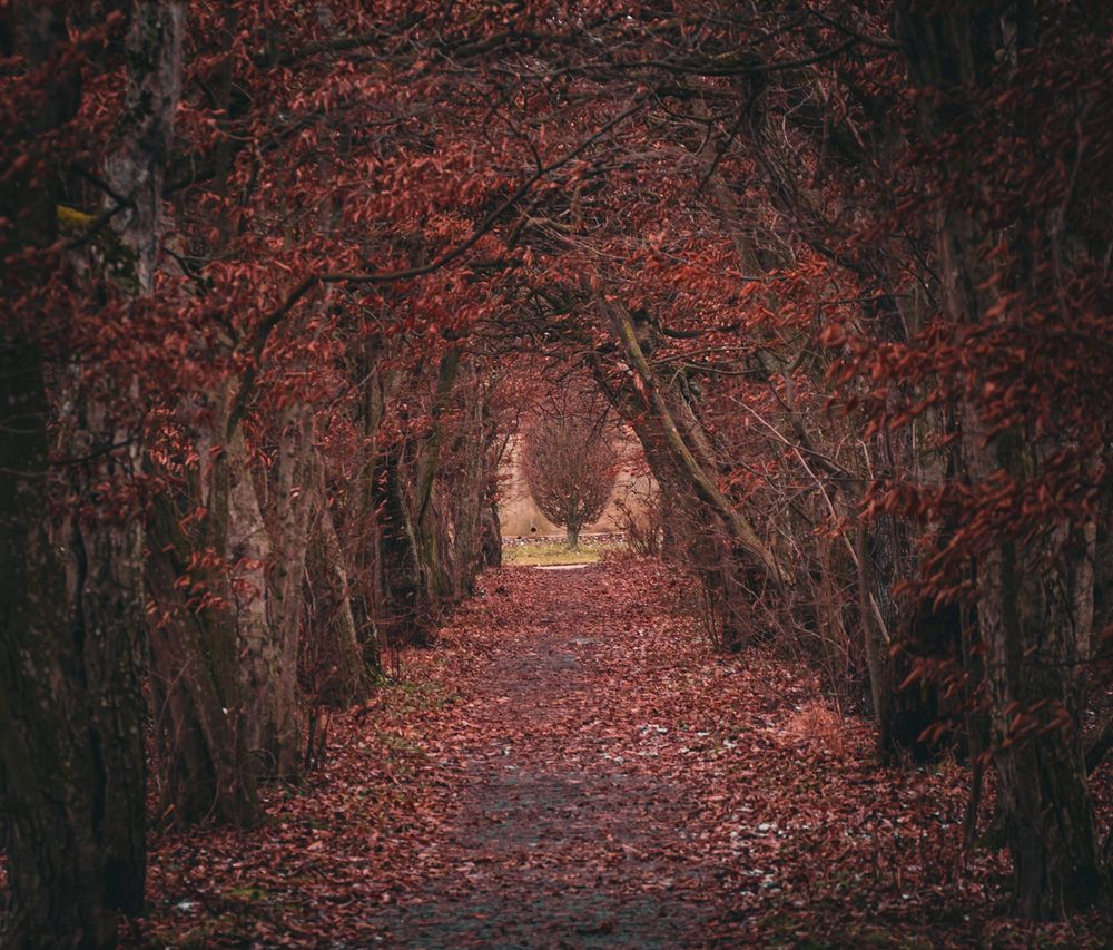 Photograph by Olga Arune