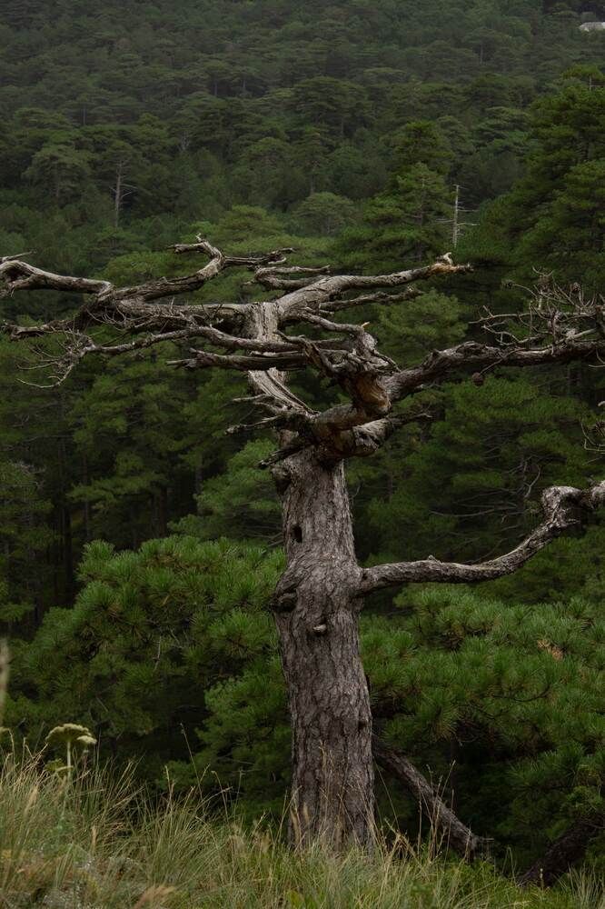 Photograph by Ольга Самылкина