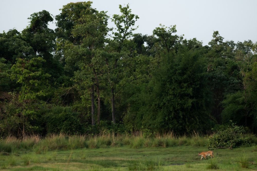 Photograph by Arnold Judson Samuel