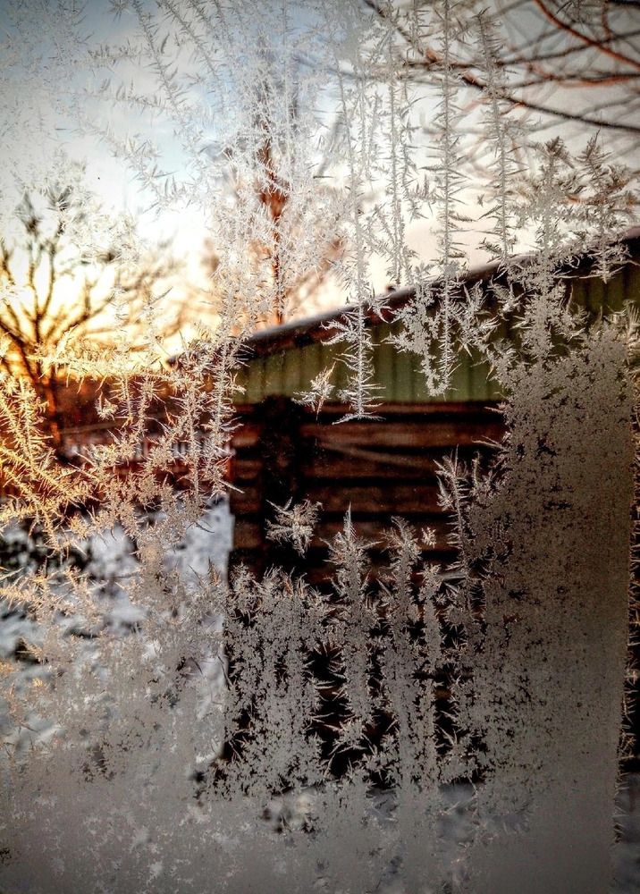 Photograph by София Бояринцева