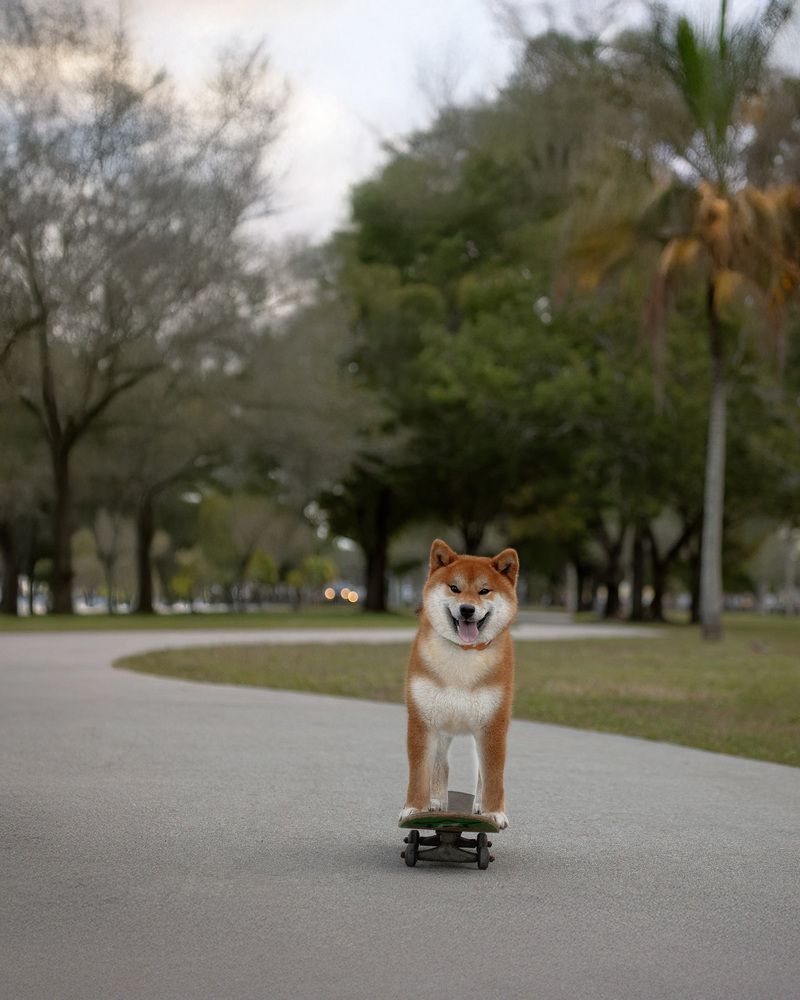 Фотография автора Татьяна Анпилова