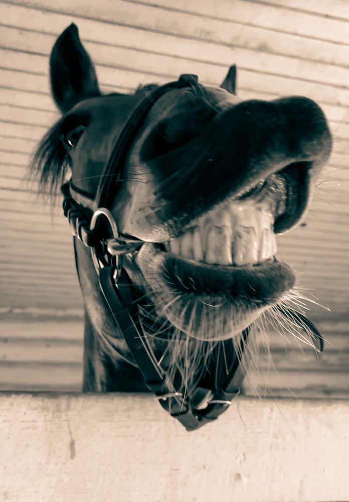 Photograph by Ольга Фатеева