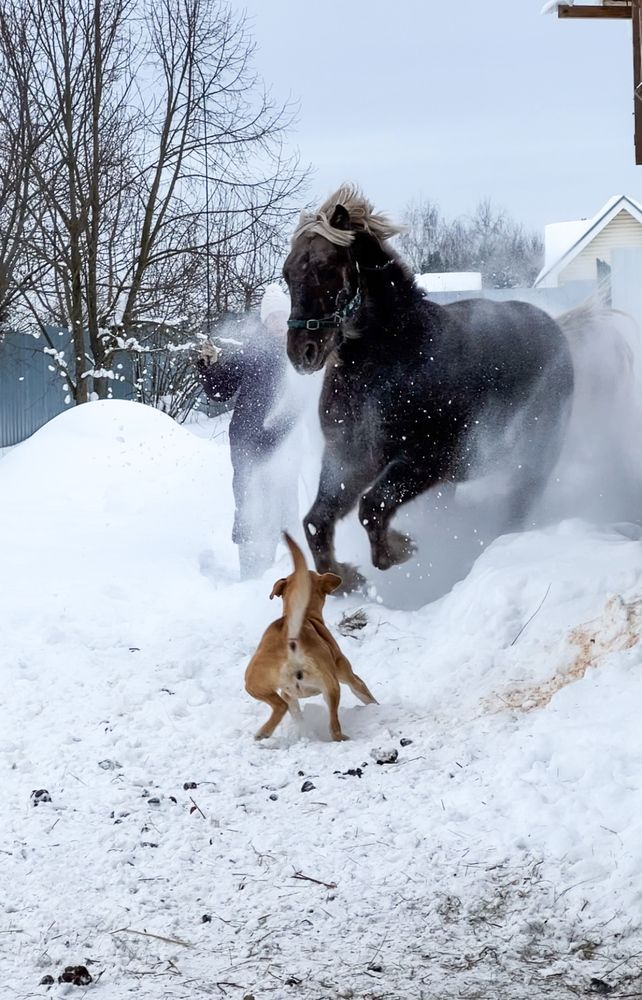 Photograph by Ольга Фатеева