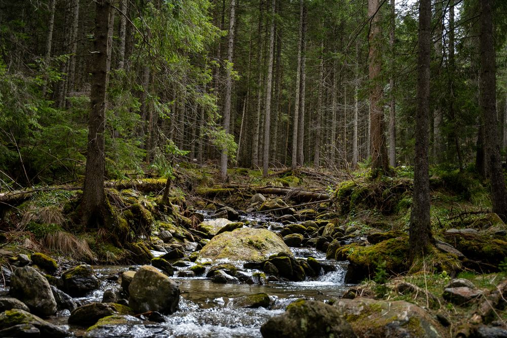 Photograph by George Catalin Serbu