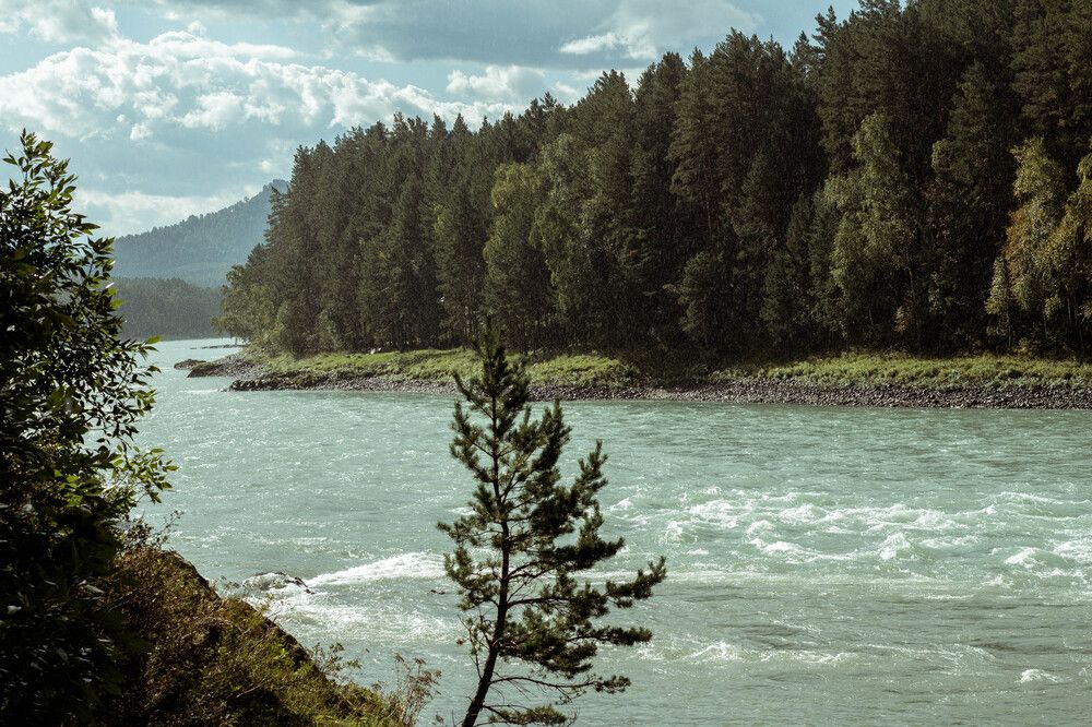 Алтай во время дождя