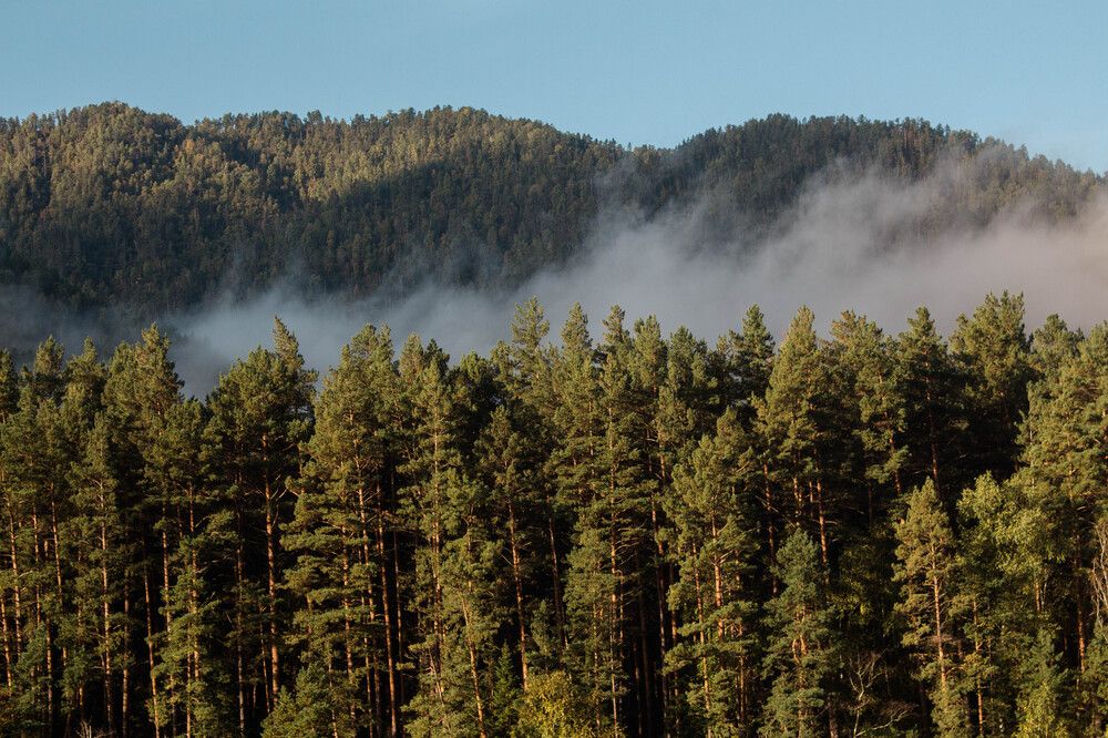 Утро на Алтае.  Сентябрь 2024 г.