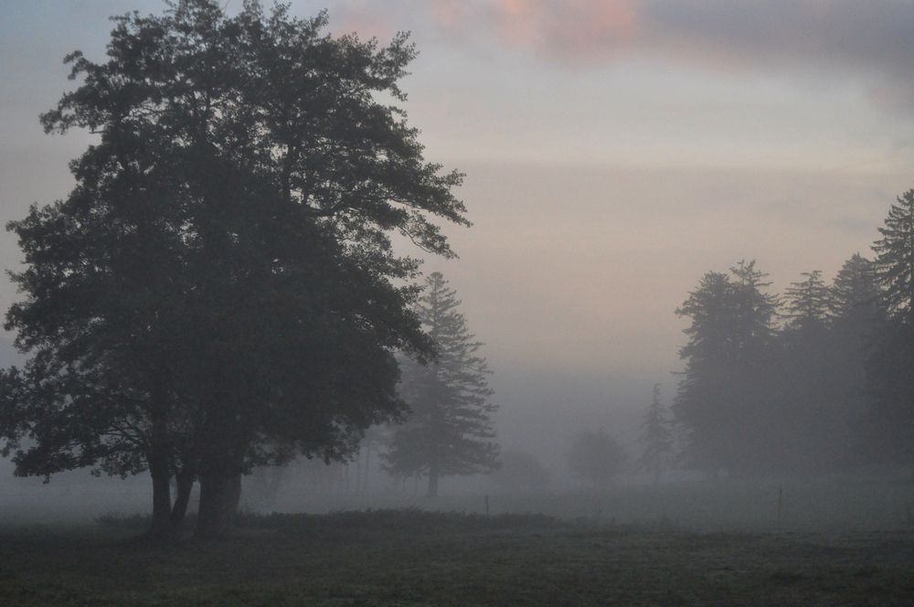 Photograph by Галина Лысых