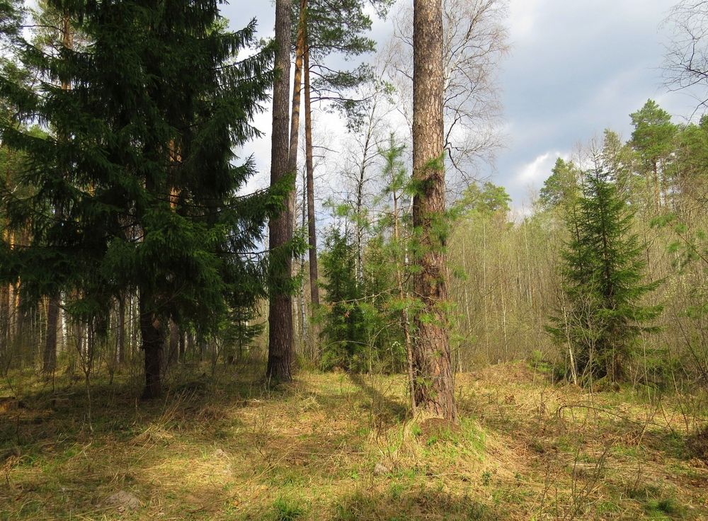 Photograph by Наталия Васильева