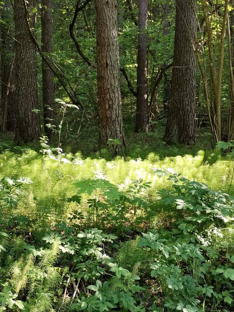 Photograph by Юлия Ю.