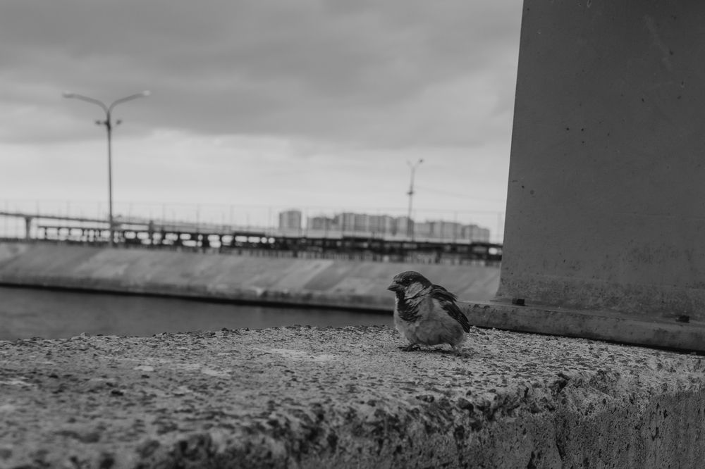 Photograph by Анастасия