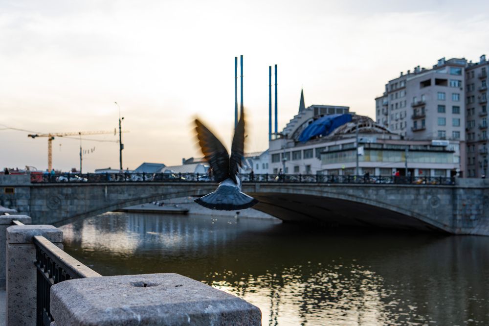 Photograph by Арсений Крят