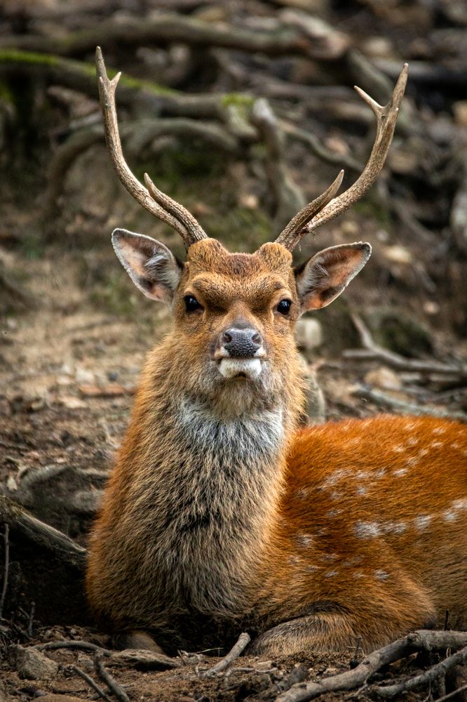 Photograph by Charlotte Moreau