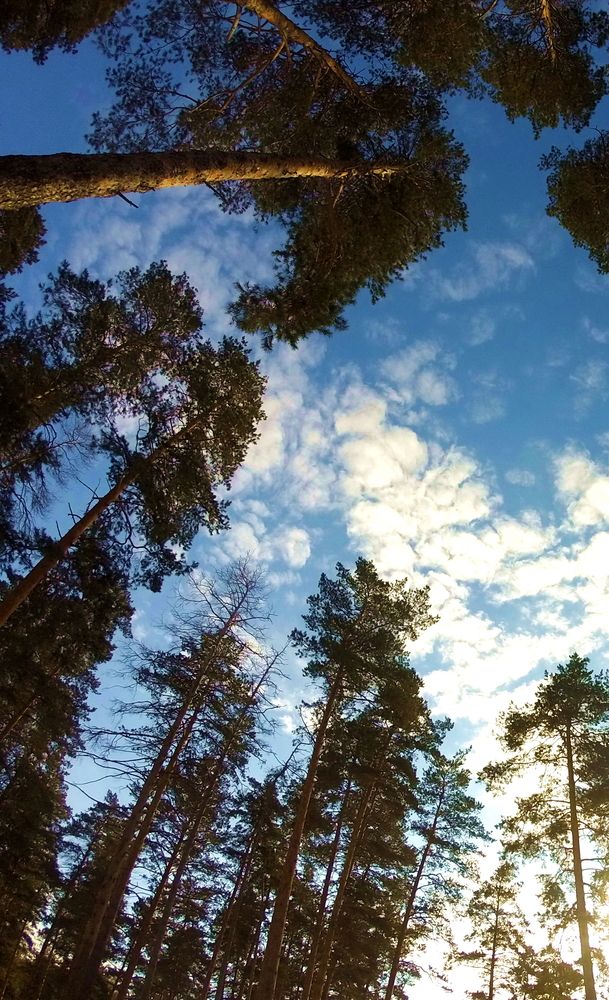 Фотография автора Алексей Клоков