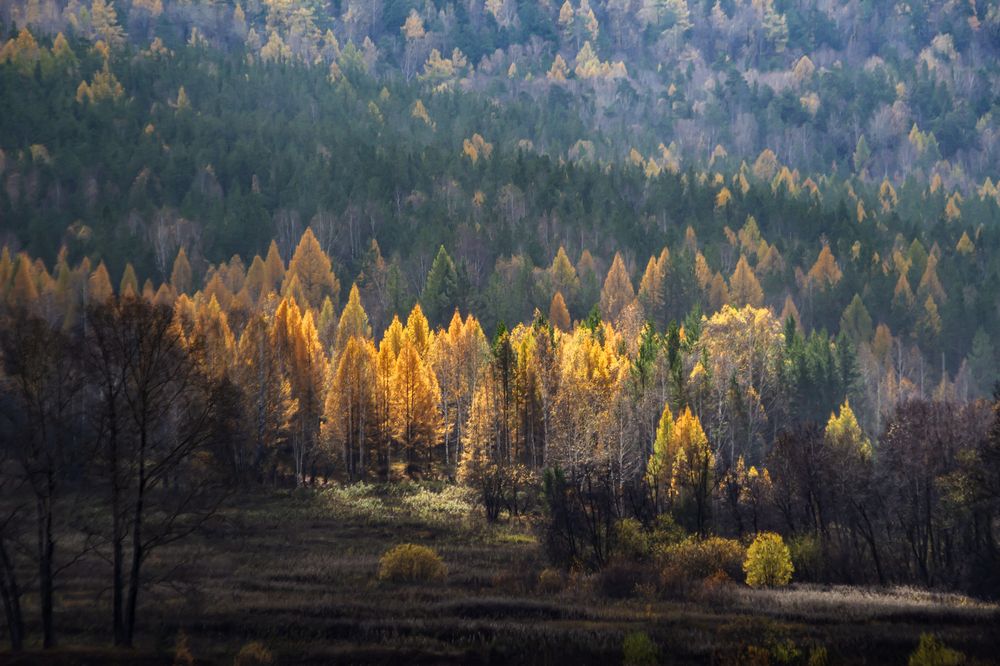 Photograph by Глухарёва Ольга