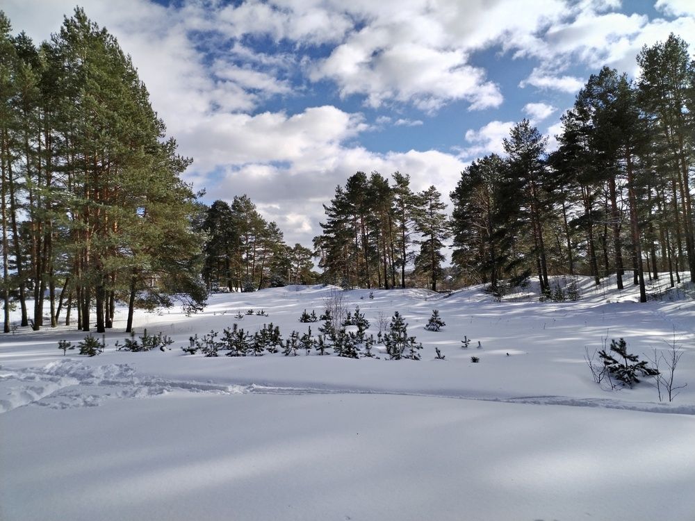 Photograph by Юлия Ю.