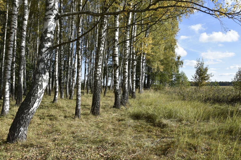 Photograph by Юлия Ю.