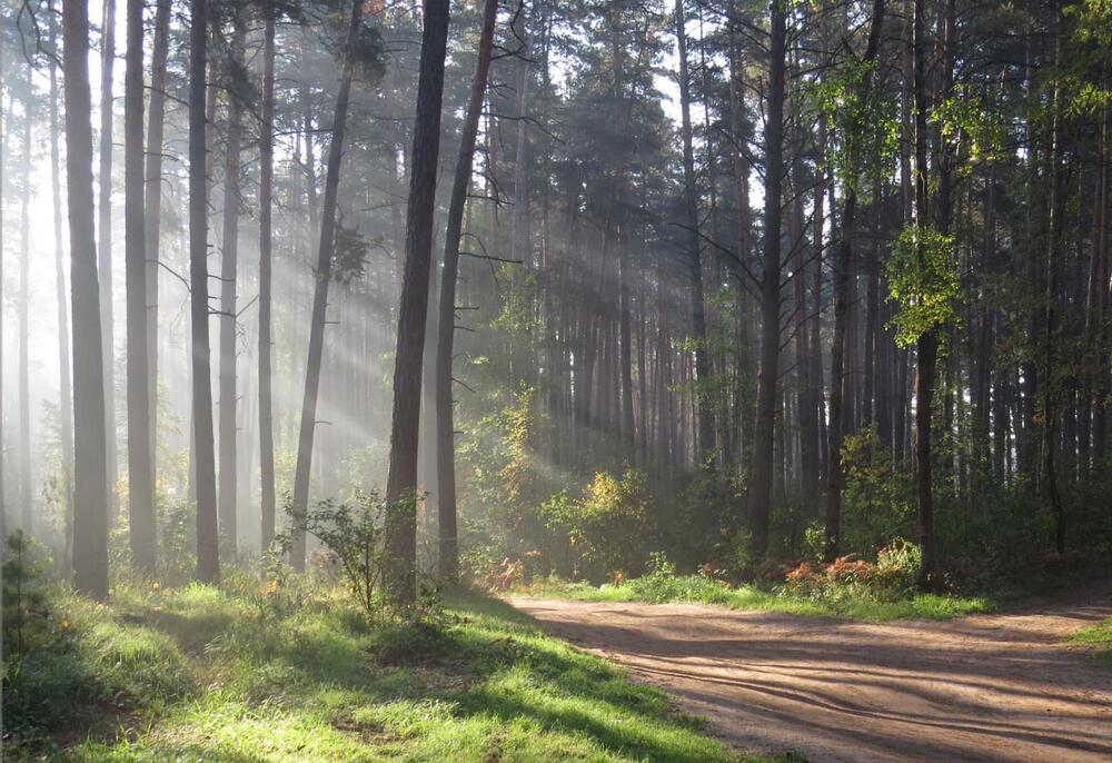 Photograph by Наталия Васильева