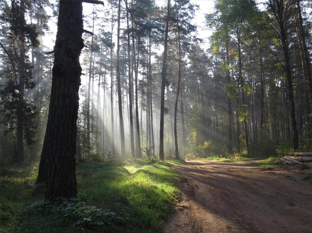 Photograph by Наталия Васильева