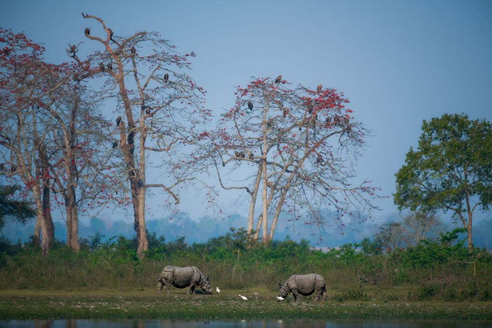 Photograph by Arnold Judson Samuel