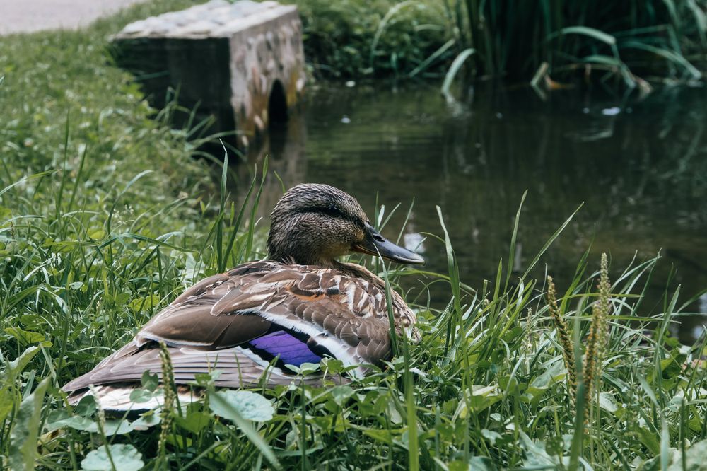 Photograph by Анастасия