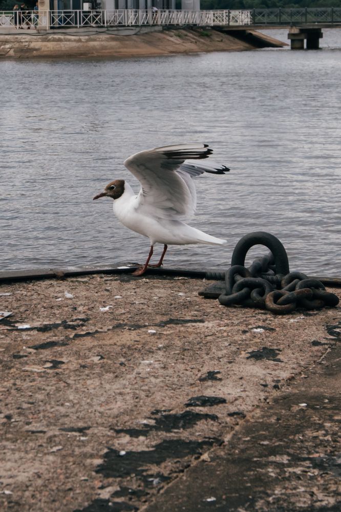 Photograph by Анастасия