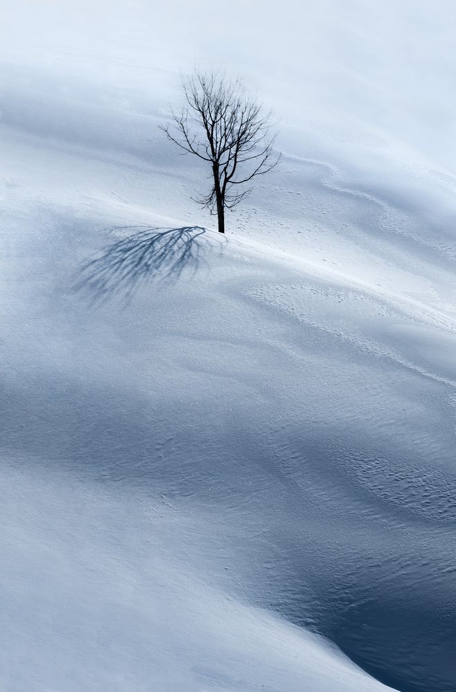 Photograph by Валерий Одинцов