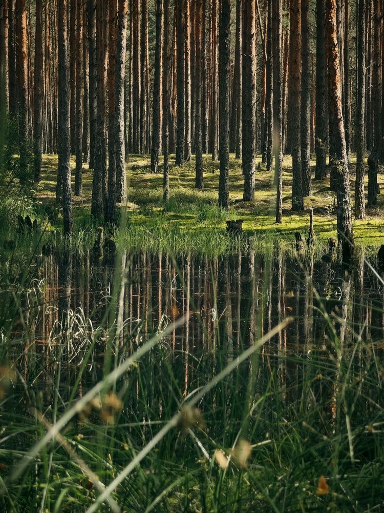 Photograph by Татьяна Соколовская