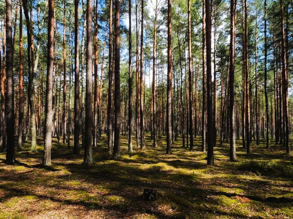 Photograph by Татьяна Соколовская