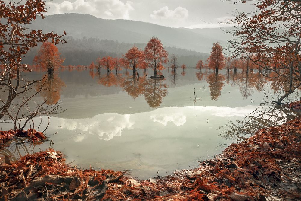 Photograph by Esmaeil rashedi