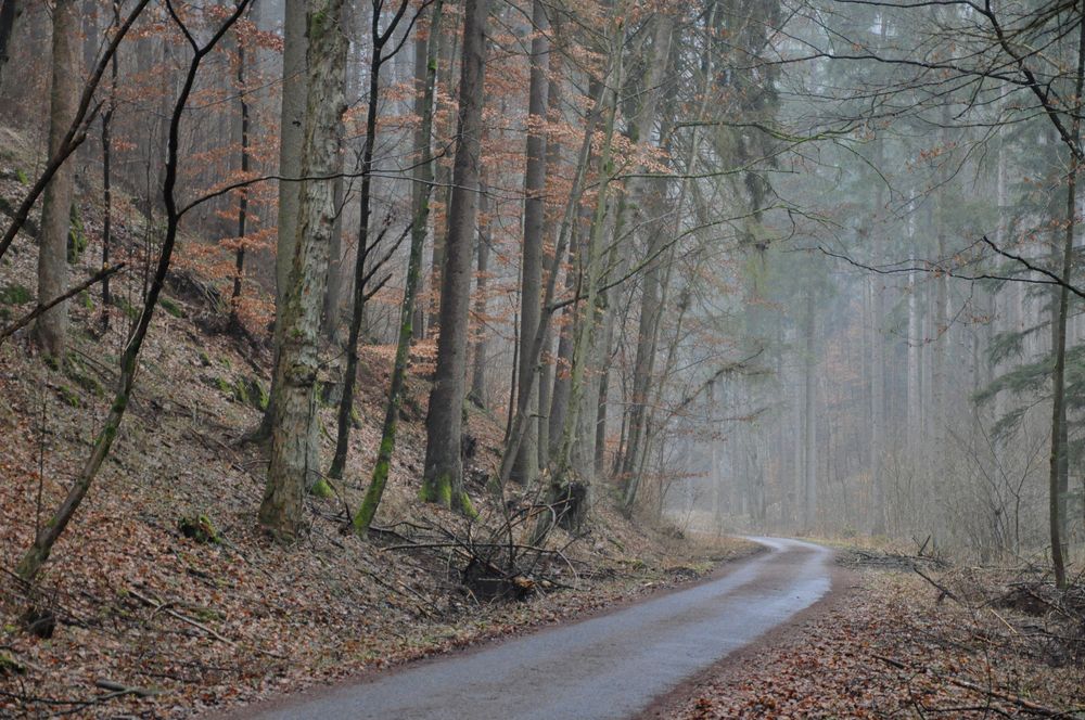 Photograph by Галина Лысых