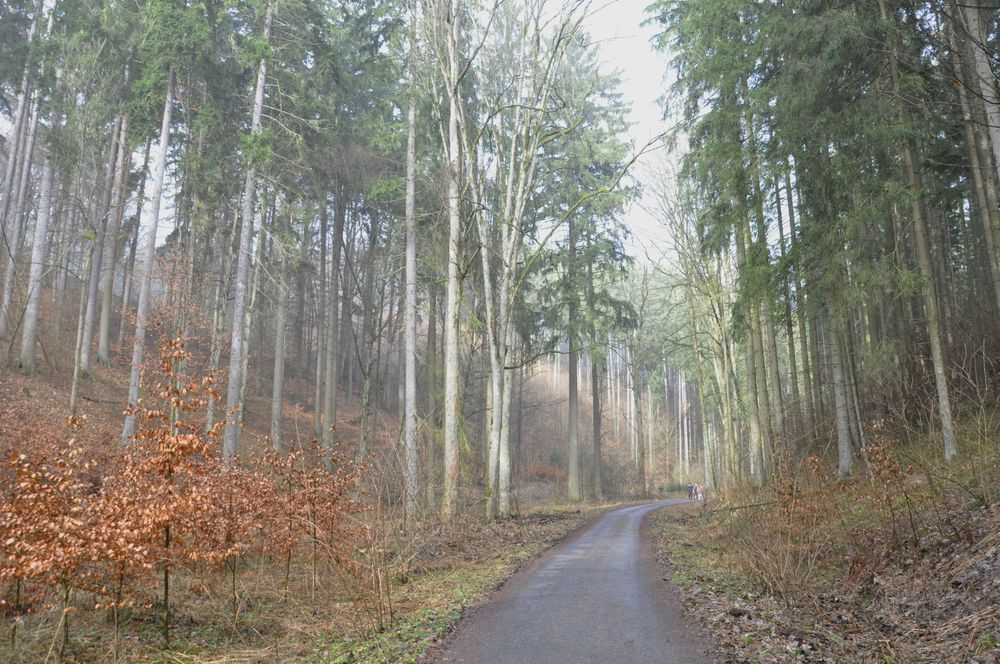 Photograph by Галина Лысых