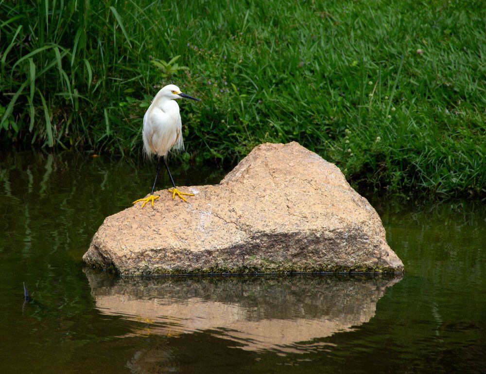 Photograph by Tina Domingos