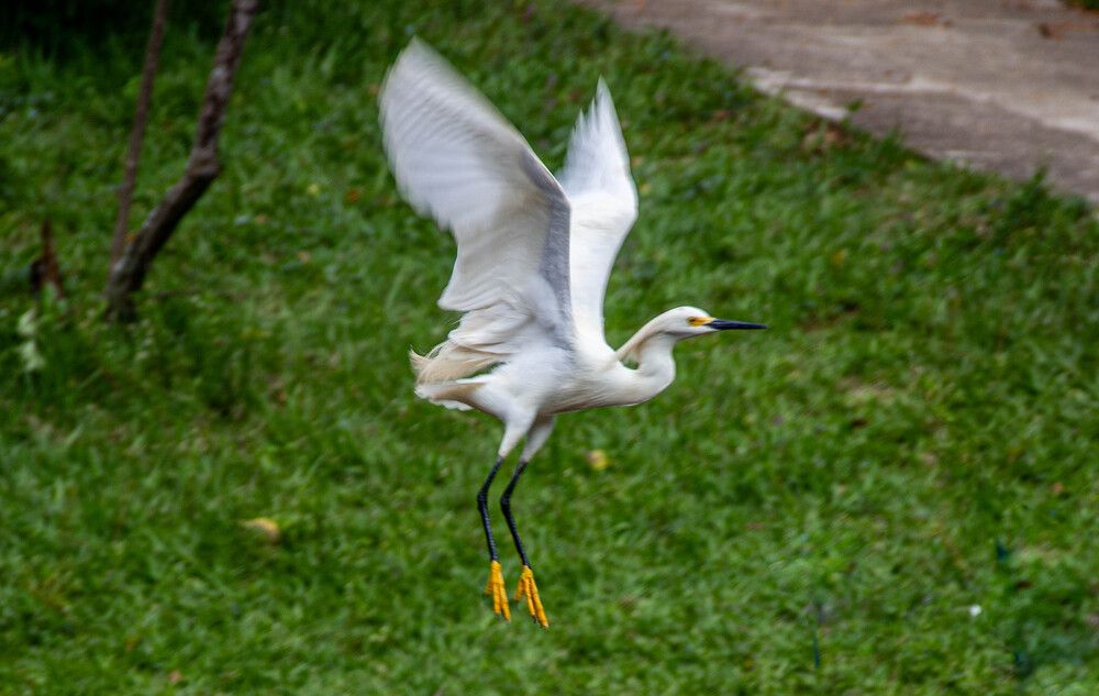 Photograph by Tina Domingos