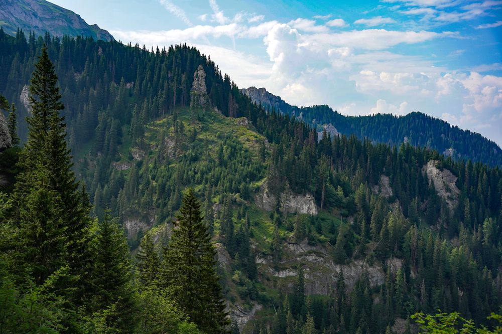 Photograph by George Catalin Serbu