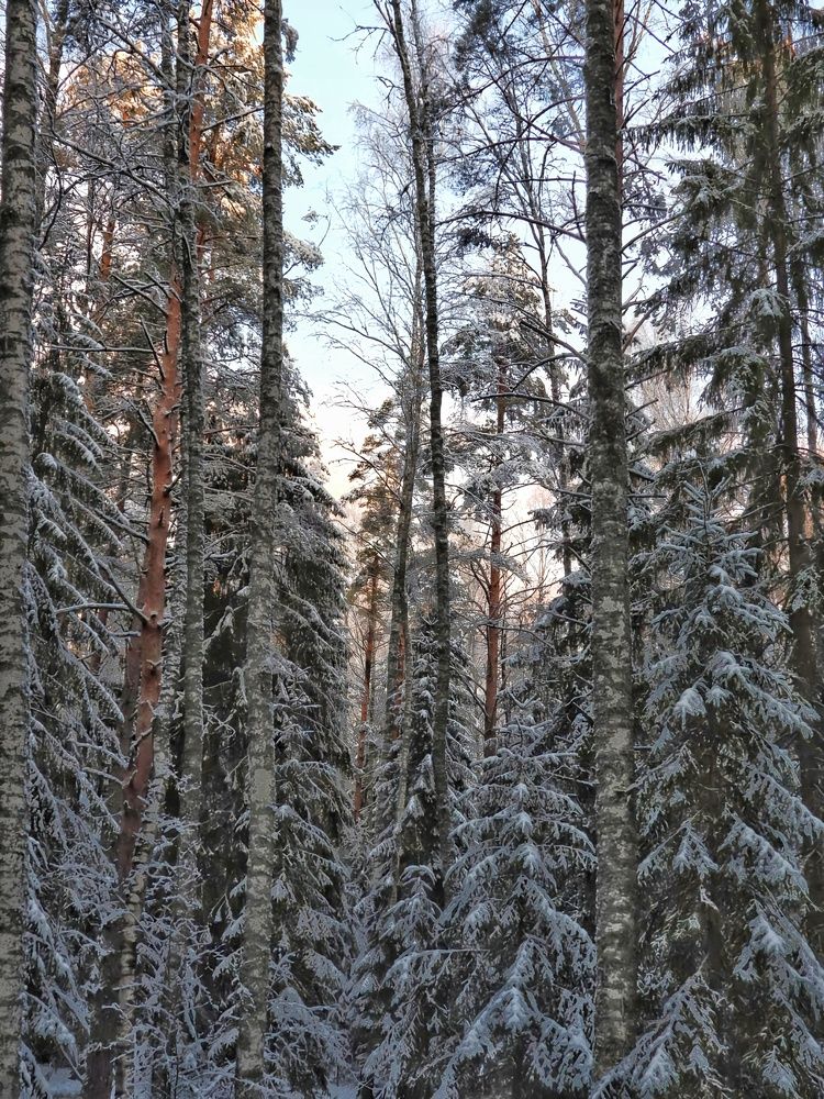Photograph by Александр Шаварин