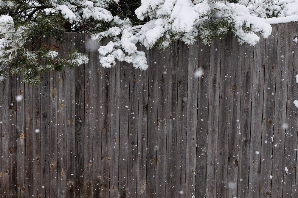 Photograph by Елена Киселева