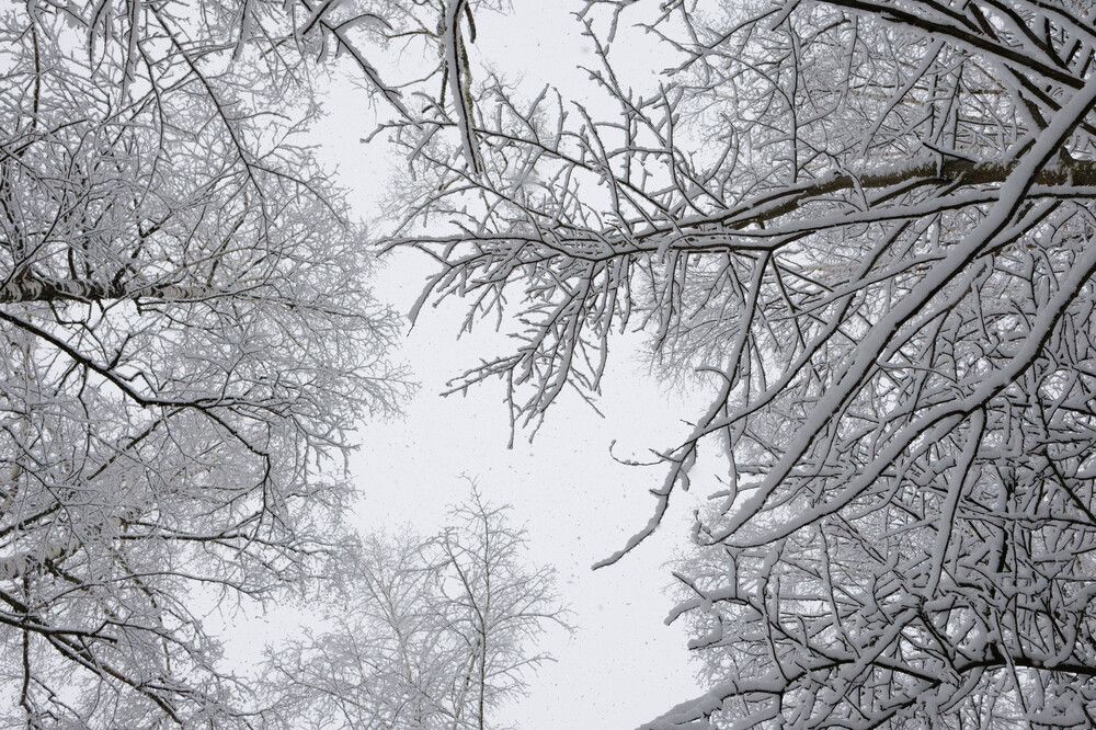 Photograph by Елена Киселева