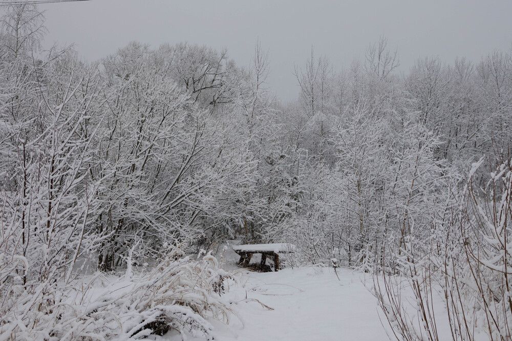 Photograph by Елена Киселева