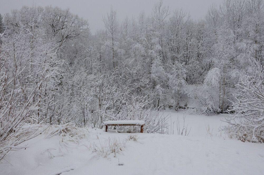 Photograph by Елена Киселева