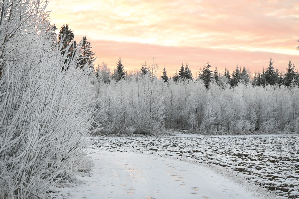 Photograph by Aušrinė Bui