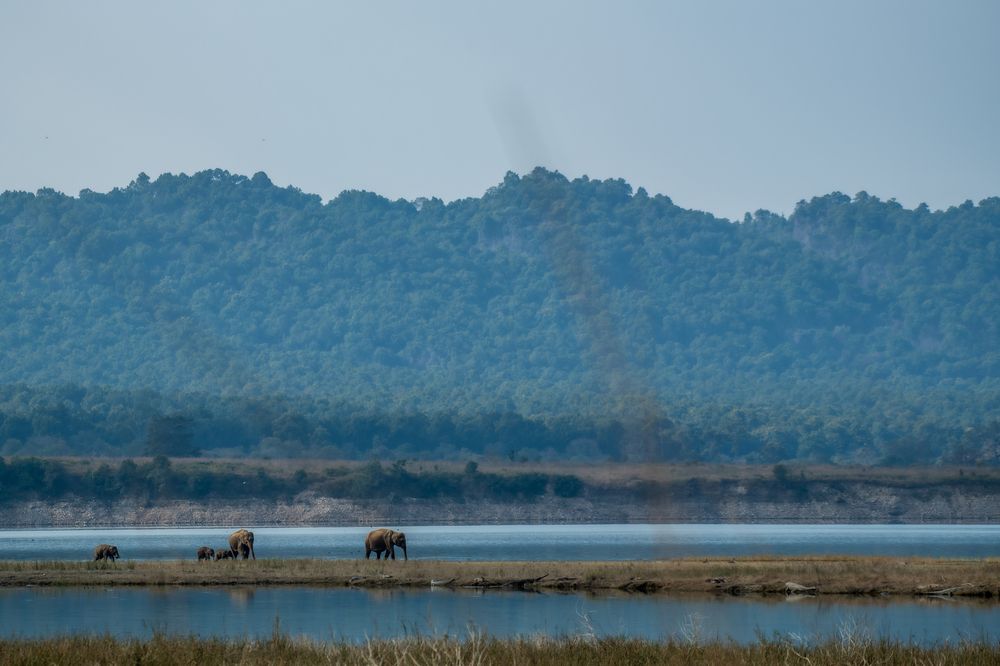 Photograph by Arnold Judson Samuel