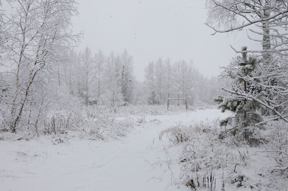 Photograph by Елена Киселева