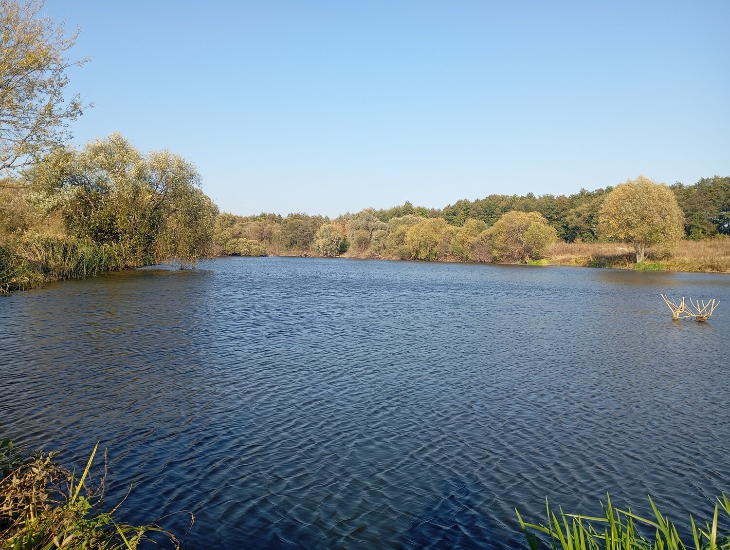 Осень на озере