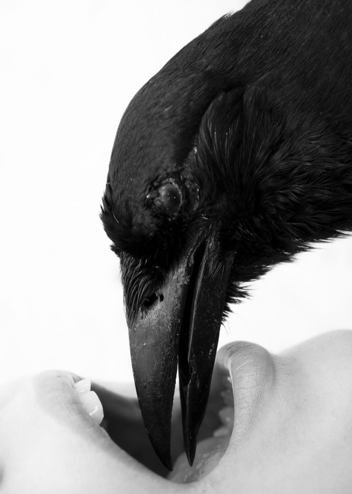 Sin titulo de la serie Fugaces