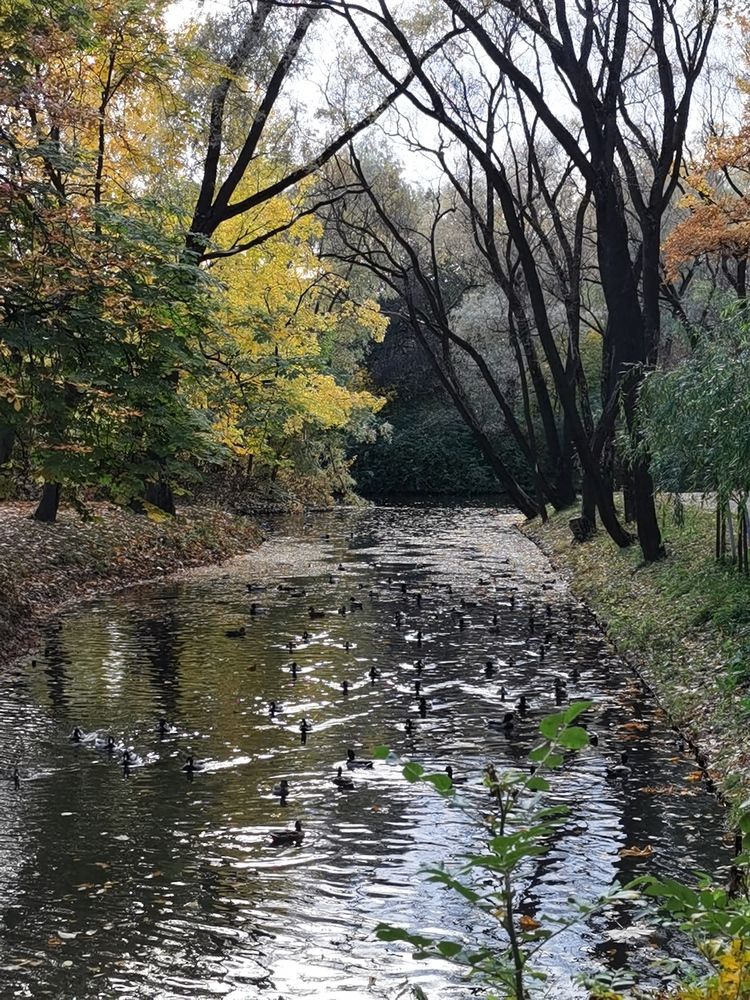 Photograph by Виталий Кореньков