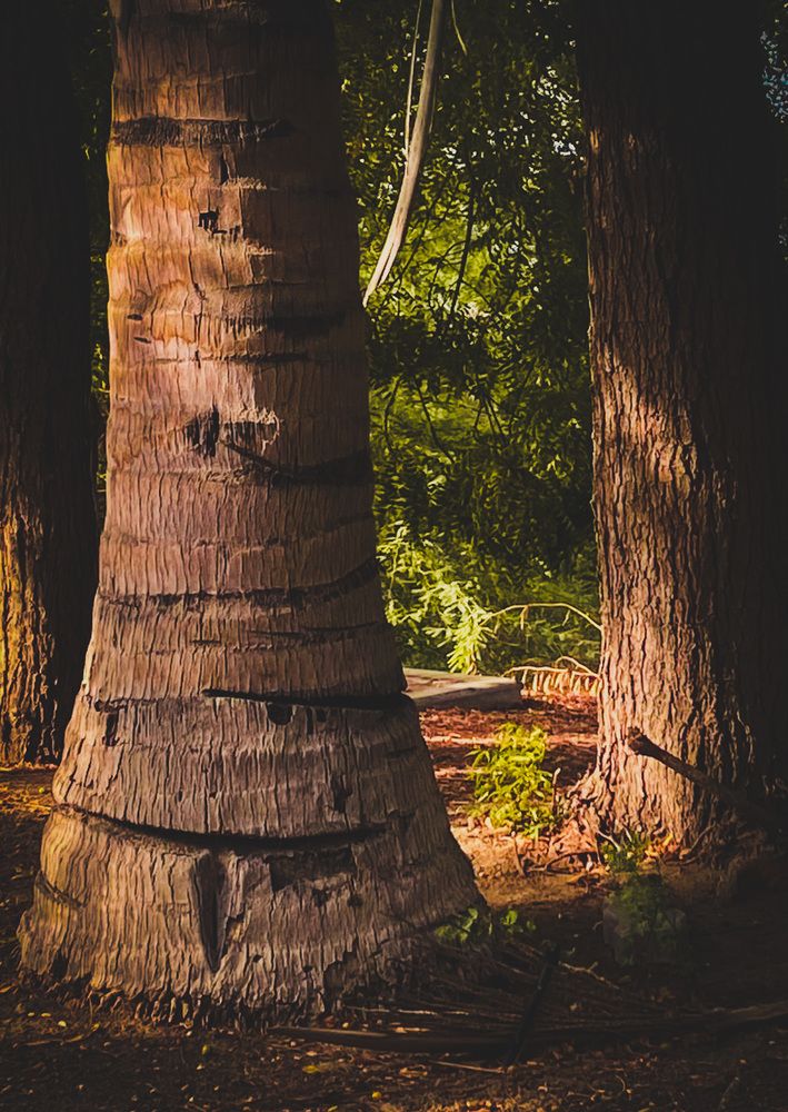 Photograph by Waleed Yousuf Alwahaibi