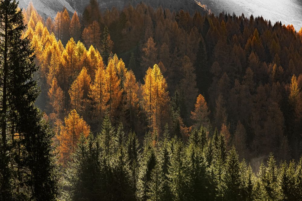 Фотография автора Paolo Barbarini