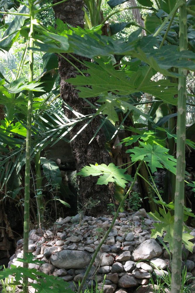 Photograph by Waleed Yousuf Alwahaibi