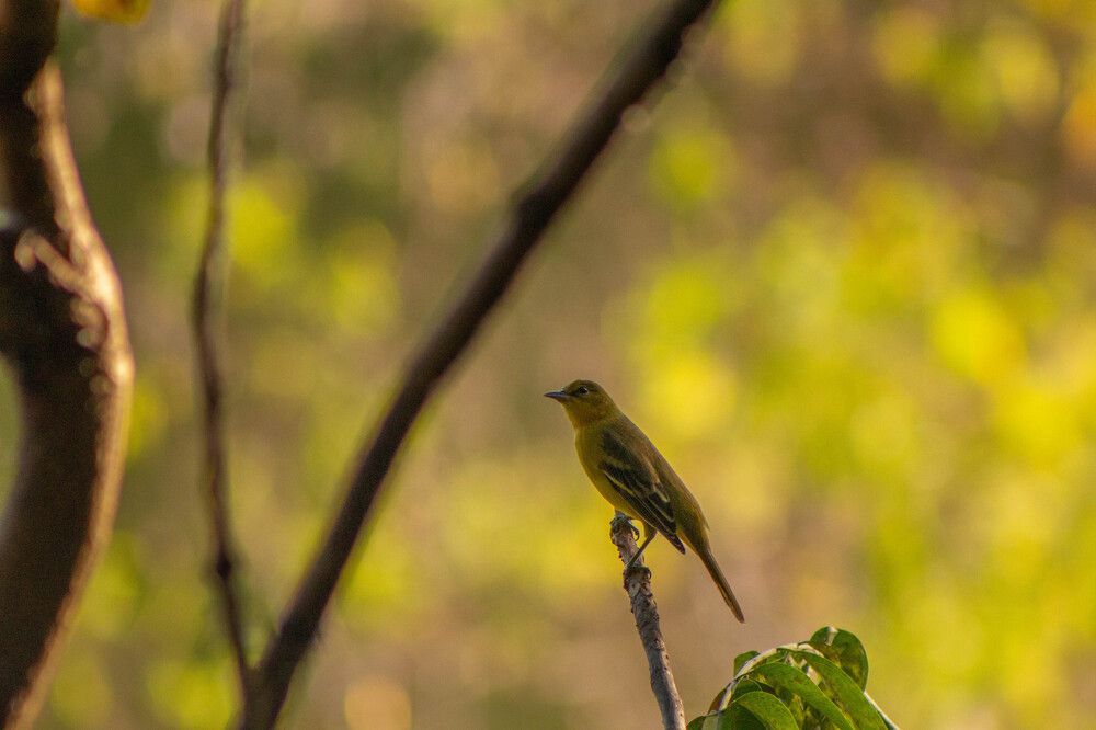 Photograph by Armando Eusebio Valladares Quinteros